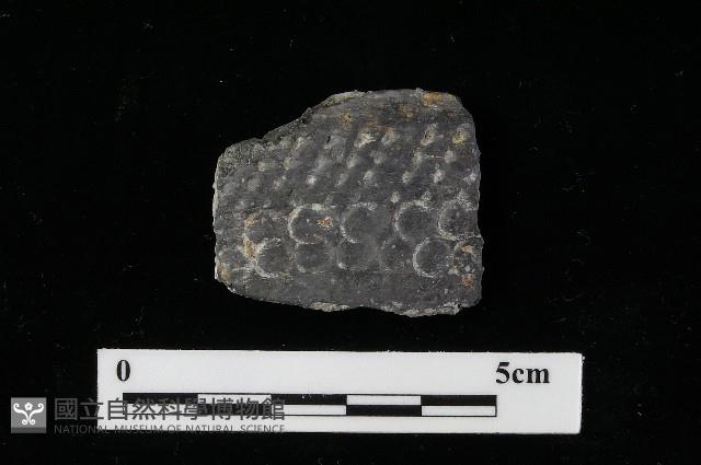 陶器藏品圖，第3張