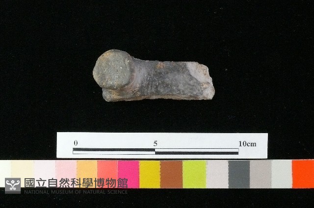 陶蓋藏品圖，第3張