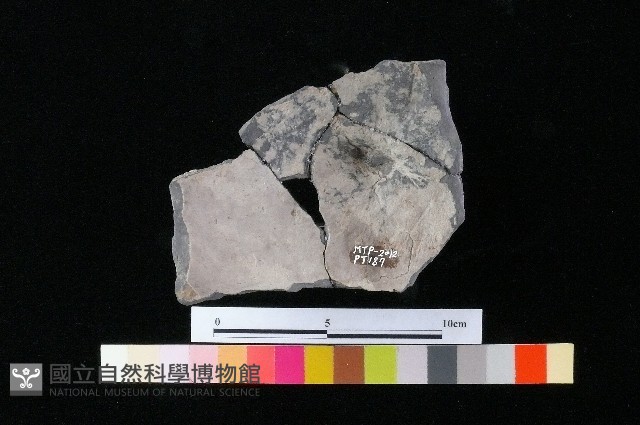 陶蓋藏品圖，第1張