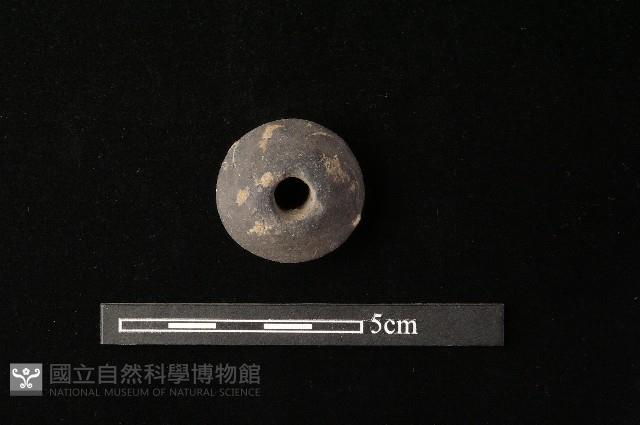 紡輪藏品圖，第4張