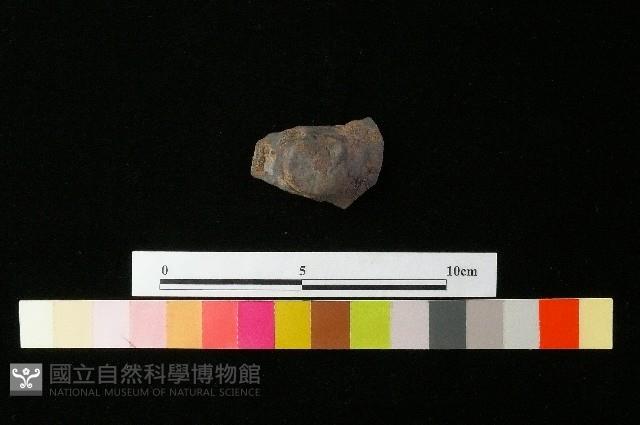 陶蓋藏品圖，第1張