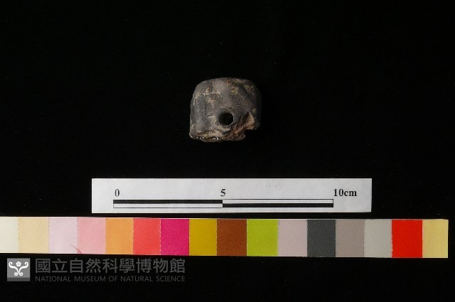 陶蓋藏品圖，第3張