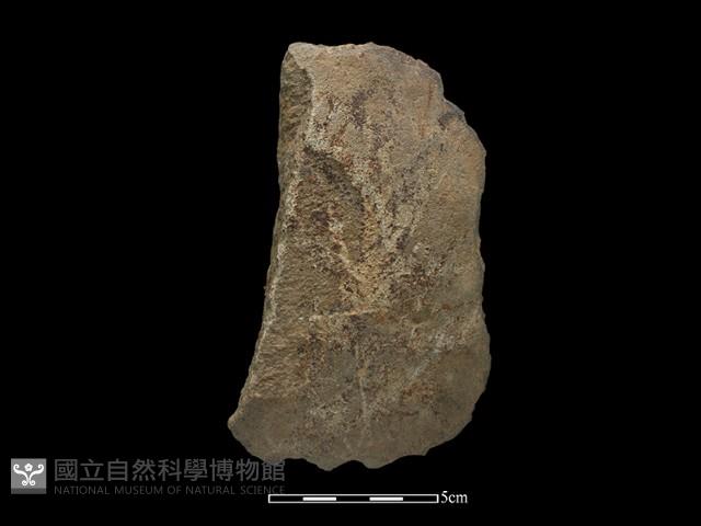 磨製斧鋤形器藏品圖，第3張