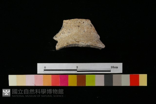 陶罐藏品圖，第1張