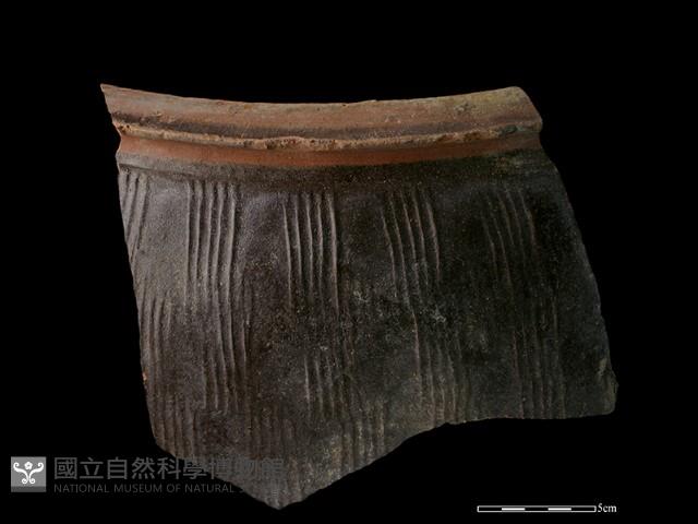 陶缸藏品圖，第4張