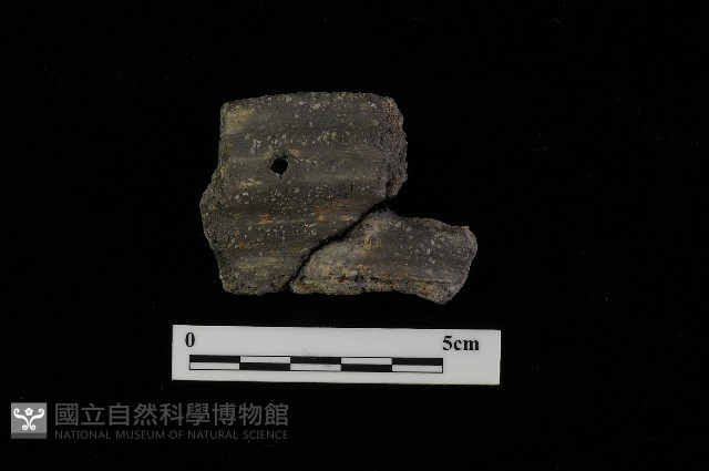 陶罐藏品圖，第3張
