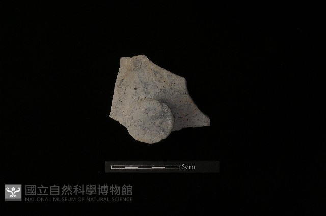 陶蓋鈕藏品圖，第3張