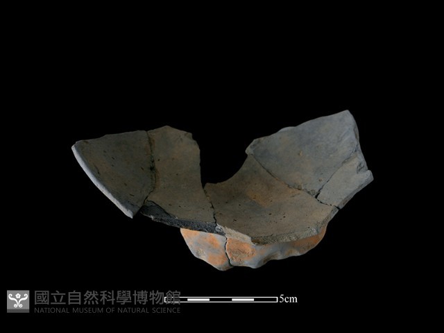 陶片藏品圖，第4張
