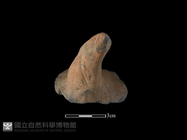 陶蓋鈕藏品圖，第3張