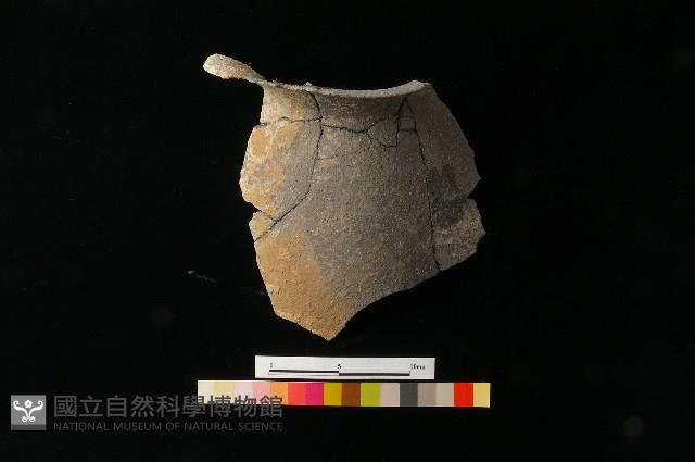 陶罐藏品圖，第3張