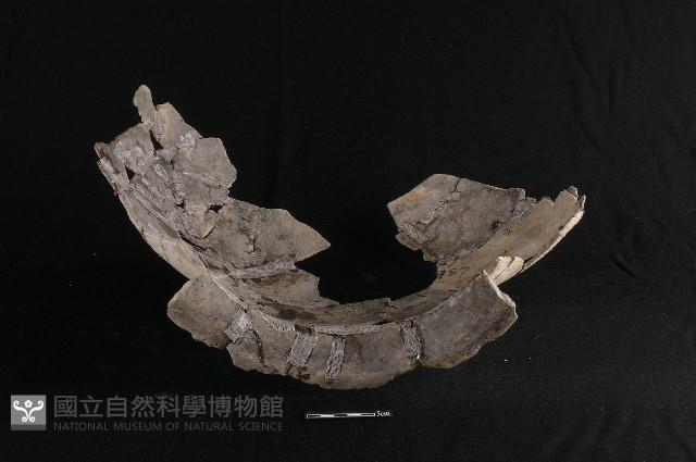 陶罐藏品圖，第3張