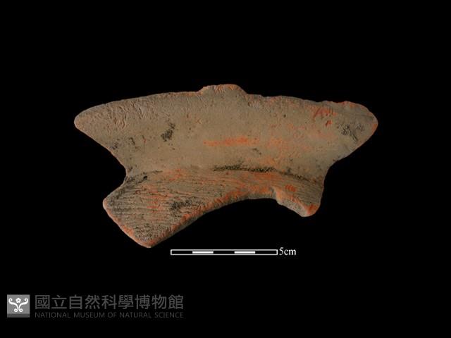 Accession Number:NSKII-2017-305 Collection Image, Figure 3, Total 3 Figures