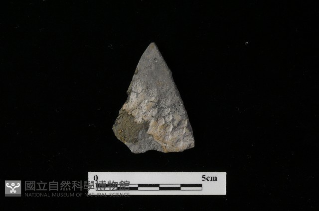 陶器藏品圖，第1張
