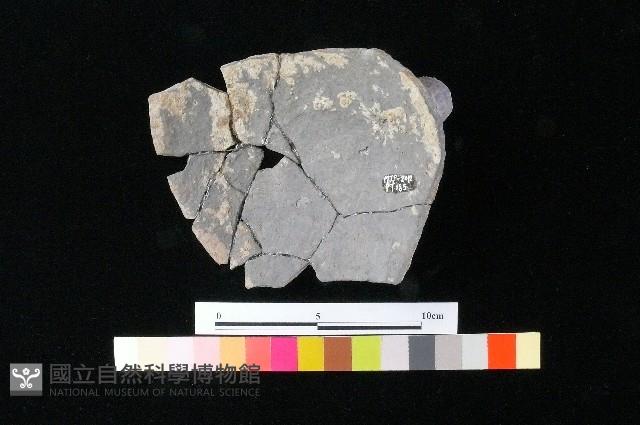 陶蓋藏品圖，第4張