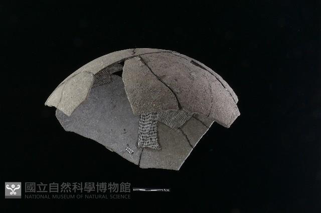 陶片藏品圖，第3張