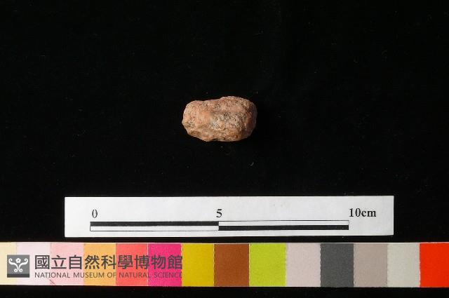 陶鈕藏品圖，第3張