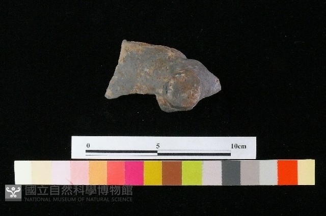 陶蓋藏品圖，第3張