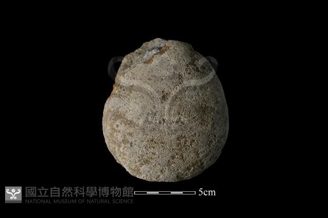 石鎚藏品圖，第3張