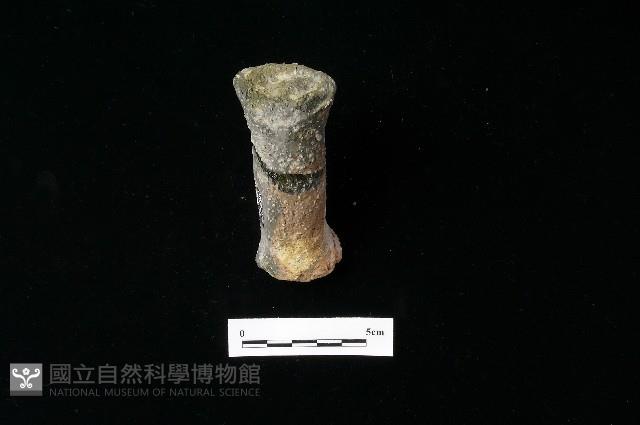 獸足藏品圖，第3張