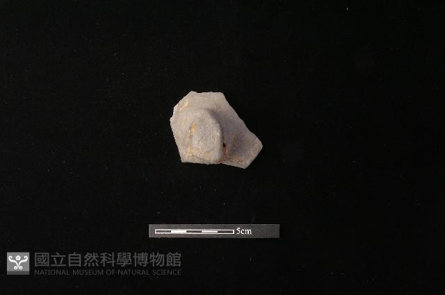 陶蓋鈕藏品圖，第1張