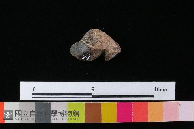 陶蓋藏品圖，第3張