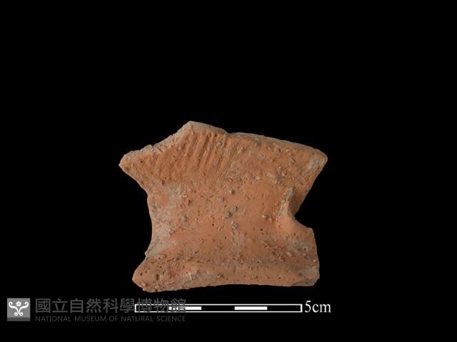 陶片藏品圖，第3張