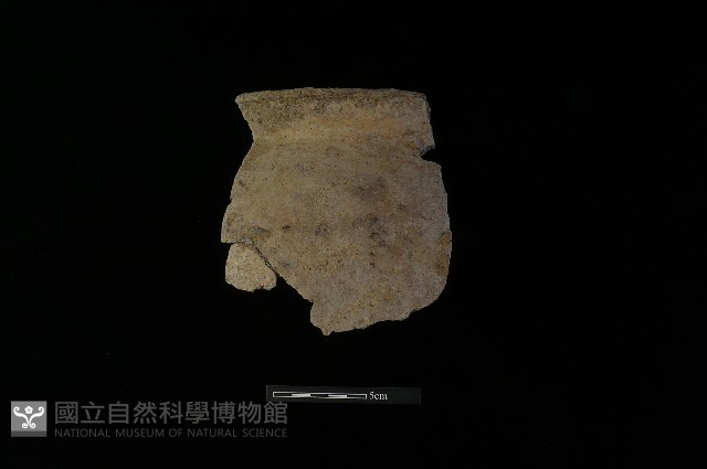 陶罐藏品圖，第3張
