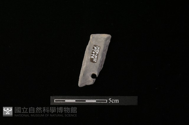 陶片藏品圖，第1張