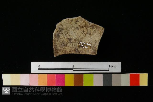 陶蓋藏品圖，第3張