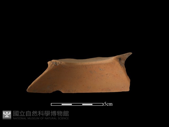 陶片藏品圖，第3張