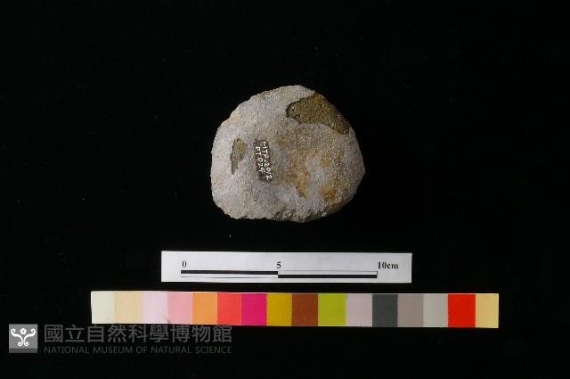 陶蓋藏品圖，第1張