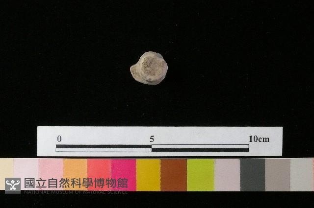 陶鈕藏品圖，第3張