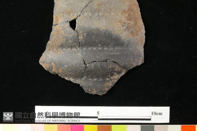 陶片藏品圖，第3張