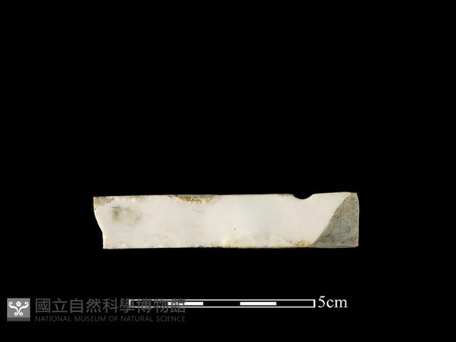 礙子藏品圖，第3張