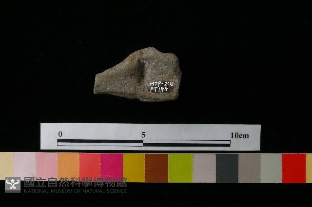 陶蓋藏品圖，第3張