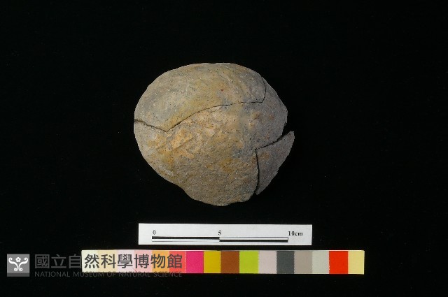 陶缽藏品圖，第3張
