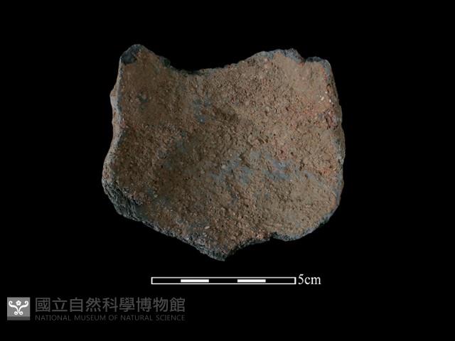 陶缽藏品圖，第3張