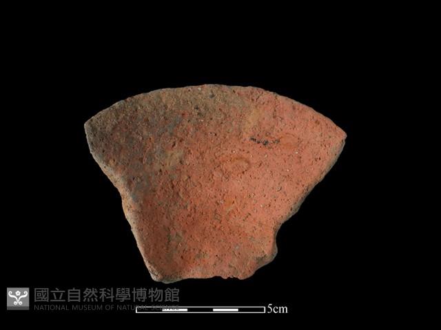 豆形器藏品圖，第3張