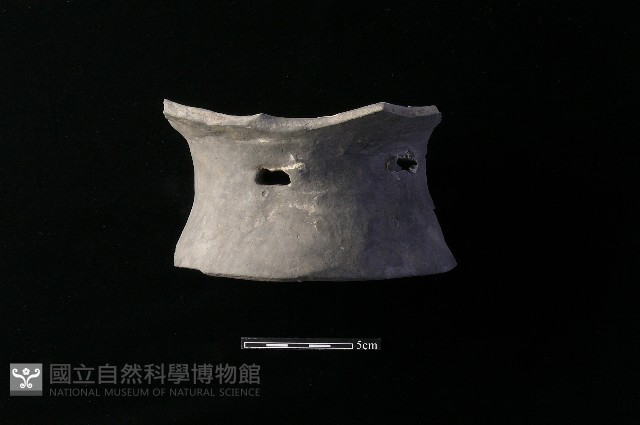 豆形器藏品圖，第3張