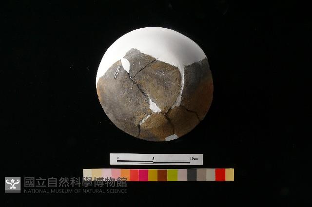 陶蓋藏品圖，第4張