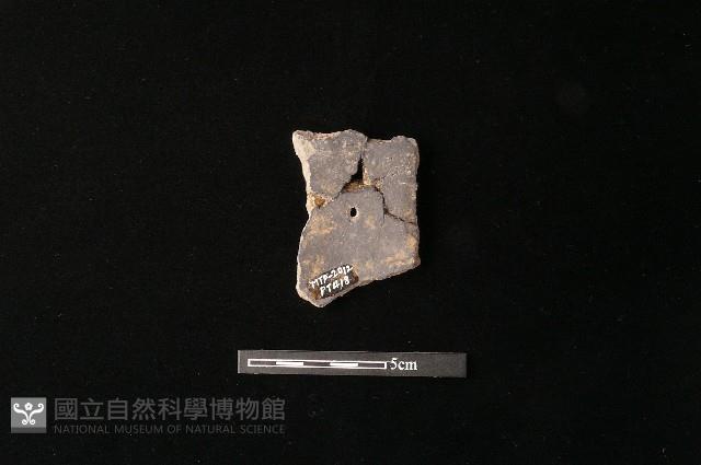 陶片藏品圖，第3張