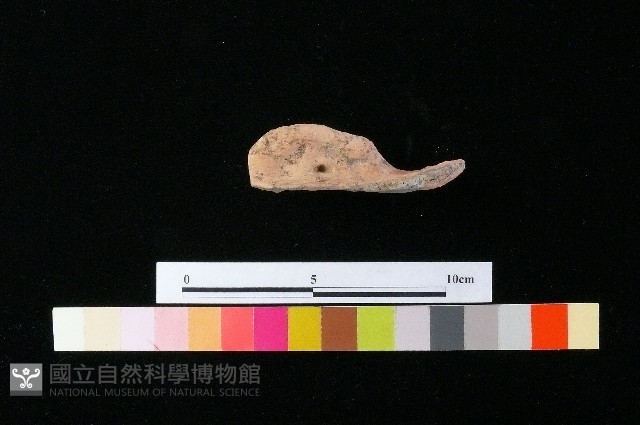 陶蓋藏品圖，第3張