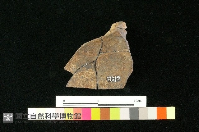 陶蓋藏品圖，第3張
