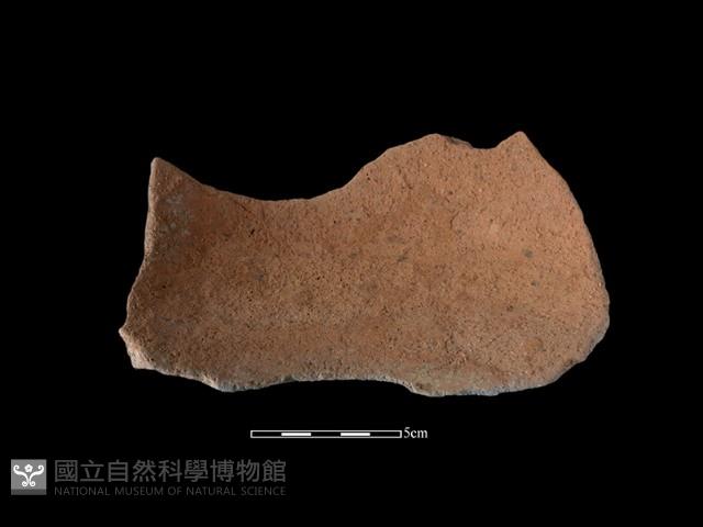 陶片藏品圖，第3張