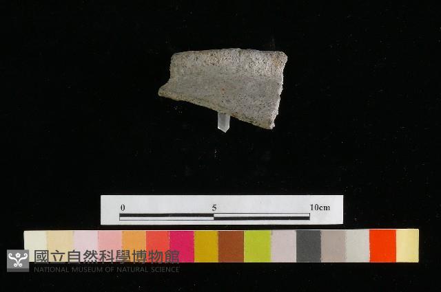 陶罐藏品圖，第1張