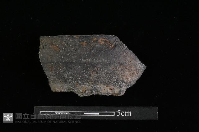 陶罐藏品圖，第3張