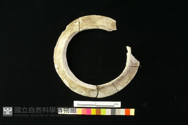 陶罐藏品圖，第3張