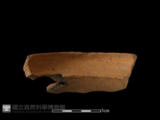 陶罐藏品圖，第4張