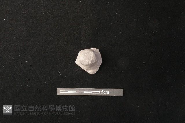 陶蓋鈕藏品圖，第1張