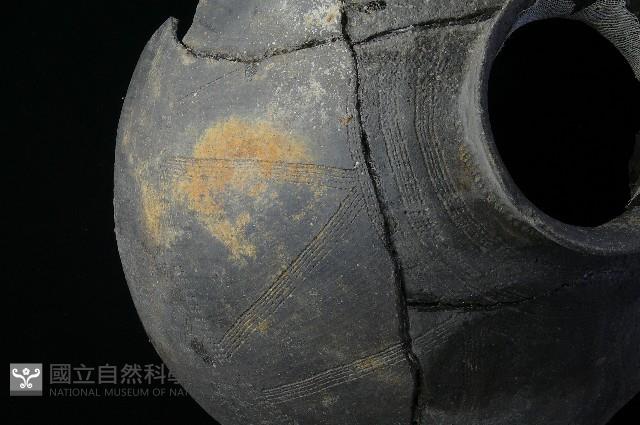 陶罐藏品圖，第1張